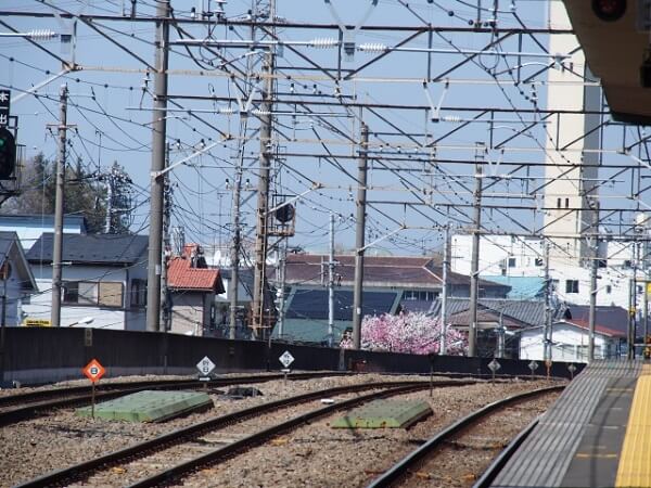 蕨駅で人身事故 盲導犬を連れた男性が線路に転落 電車にはねられ死亡 ニュース速報japan